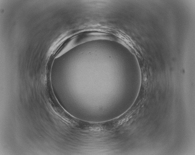 X0000068320344200604241344