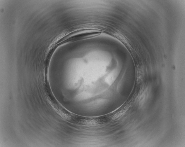 X0000068320349200604241344