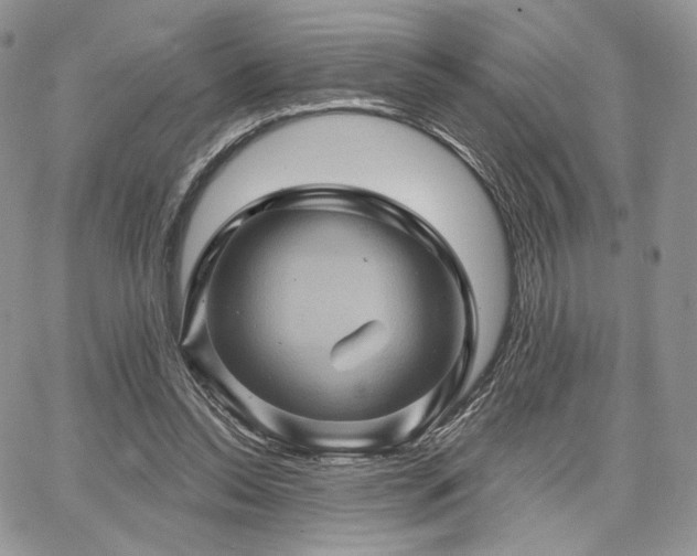 X0000068320350200604241344