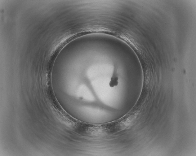 X0000068320351200604241344