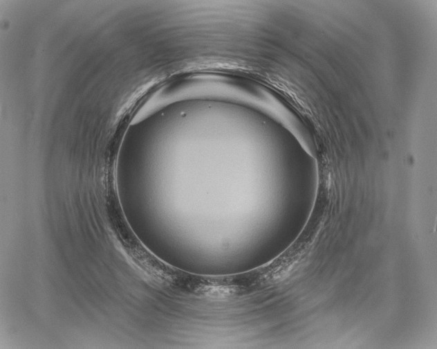 X0000068320352200604241344