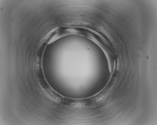 X0000068320356200604241344