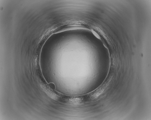 X0000068320357200604241344