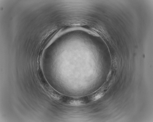 X0000068320360200604241344