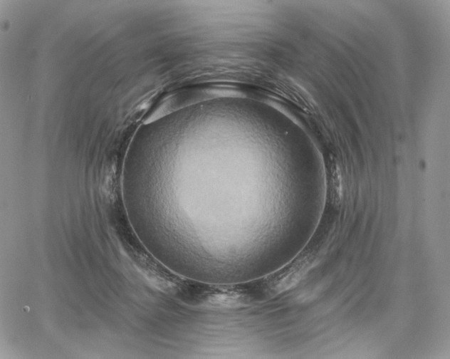 X0000068320364200604241344