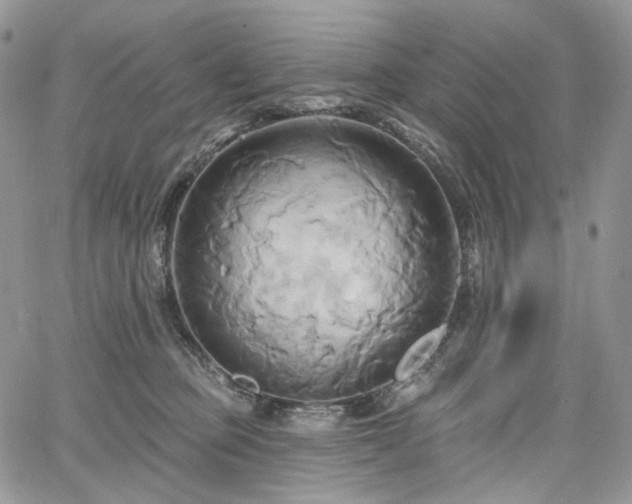 X0000068320373200604241345