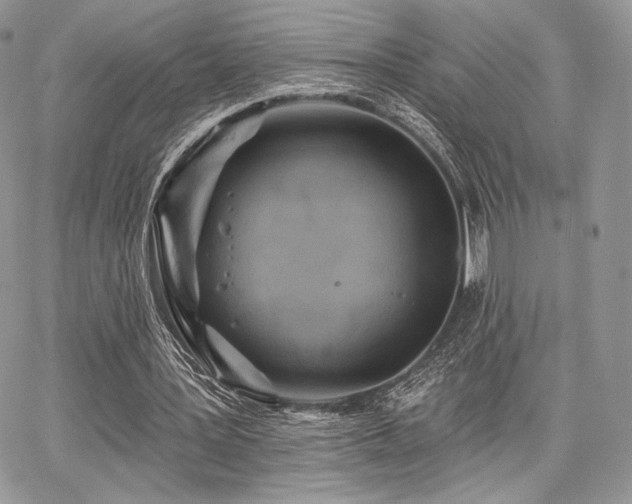 X0000068320387200604241344