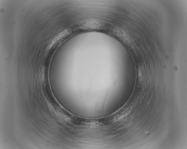 X0000068320396200604241344