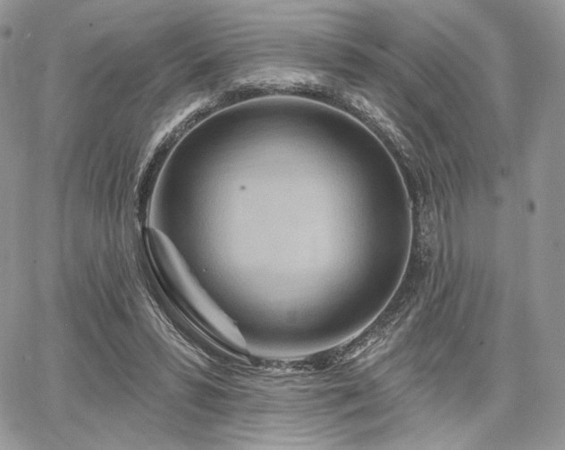 X0000068320399200604241344