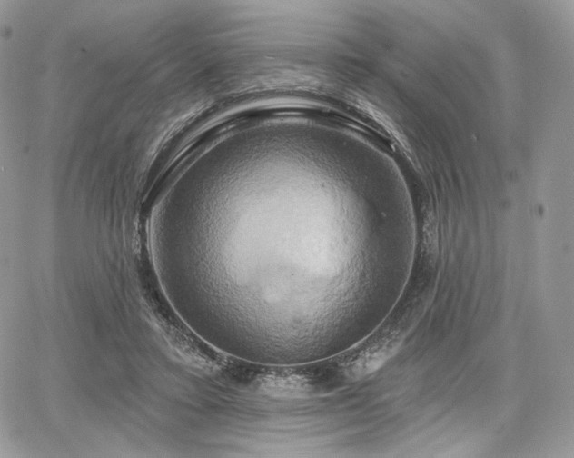 X0000068320403200604241344