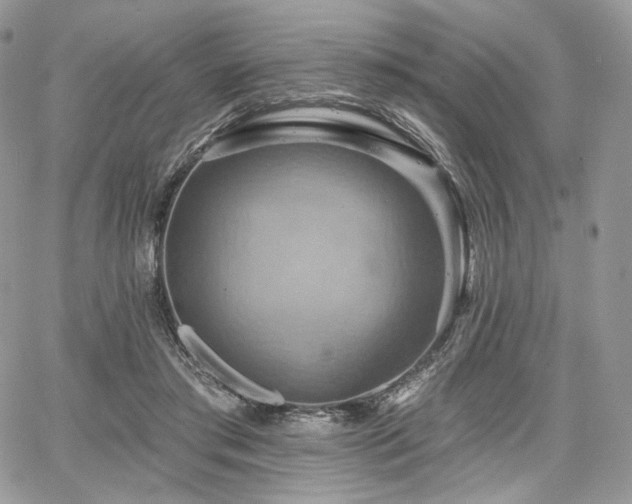 X0000068320405200604241344