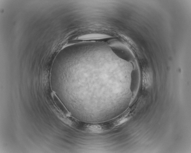 X0000068320409200604241344