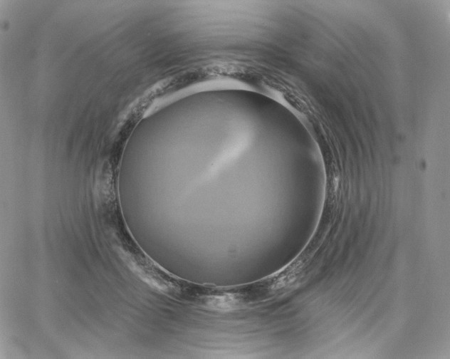 X0000068320411200604241344