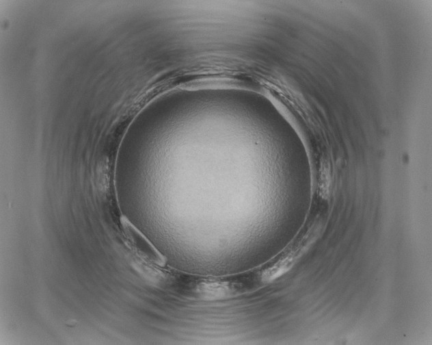 X0000068320413200604241344