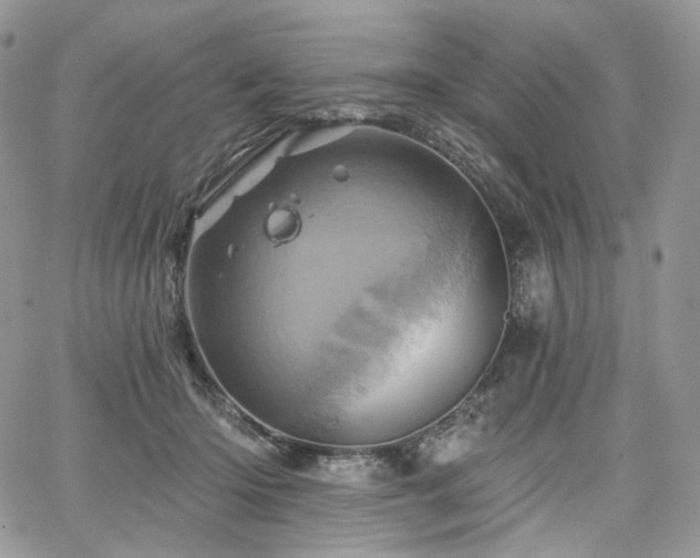 X0000068320414200604241344