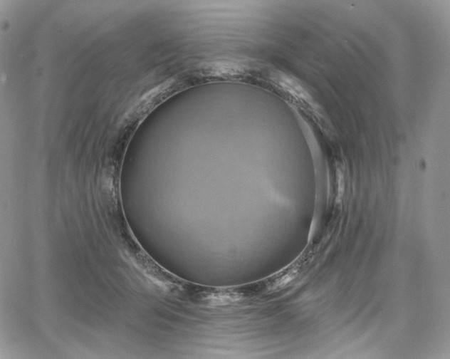 X0000068320415200604241344