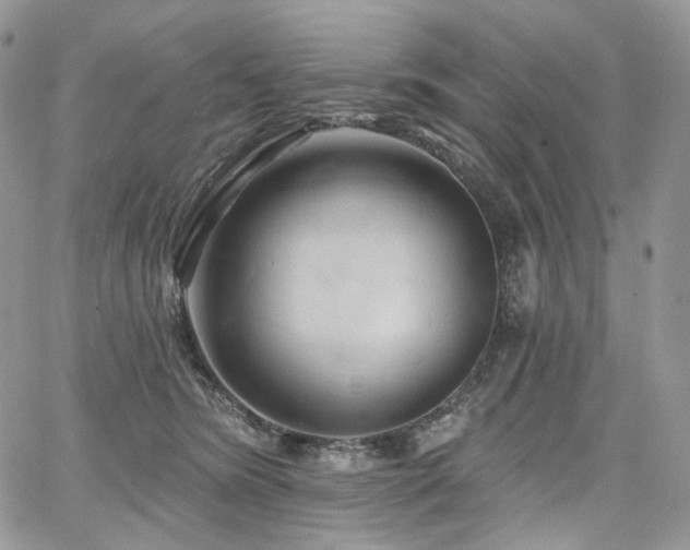 X0000068320420200604241343