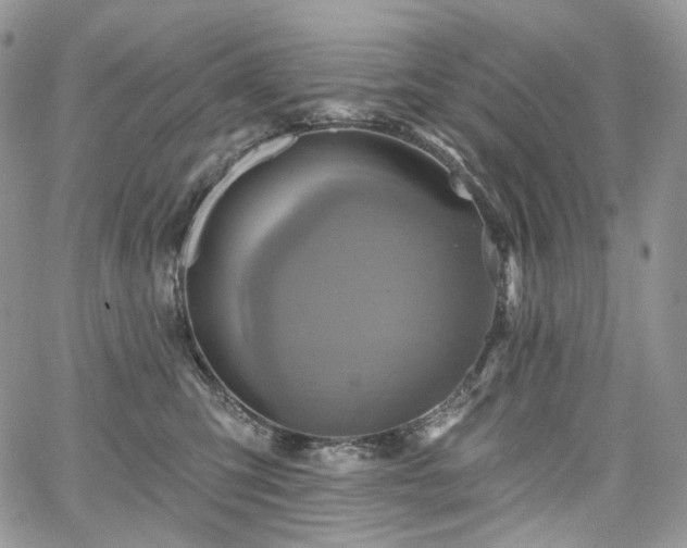 X0000068320423200604241343