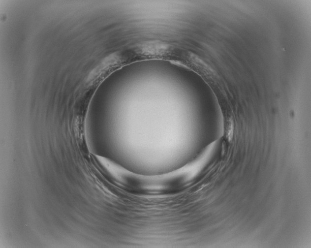 X0000068320428200604241343