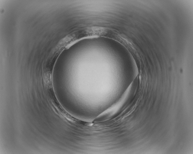 X0000068320429200604241343