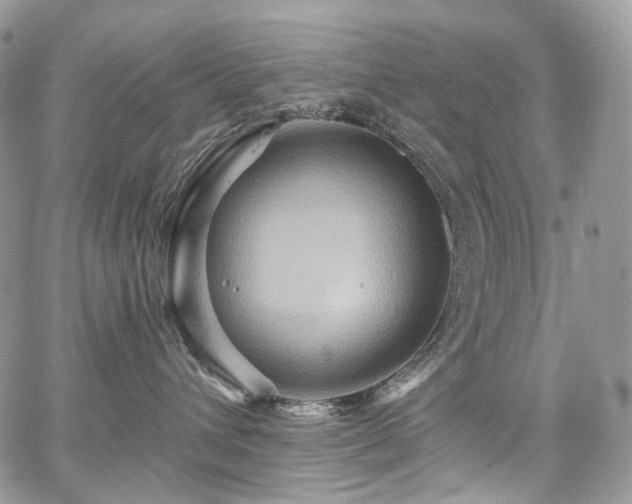 X0000068320432200604241343