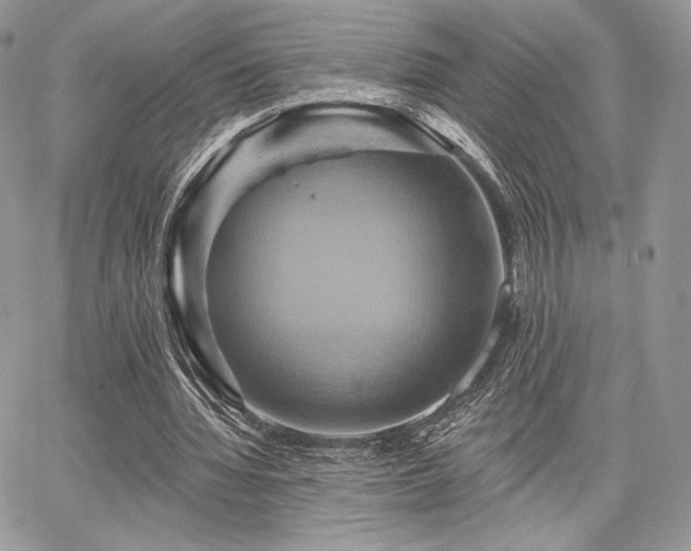 X0000068320436200604241342