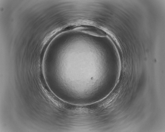 X0000068320437200604241342