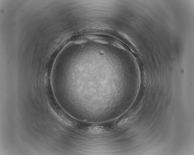 X0000068320451200604241343