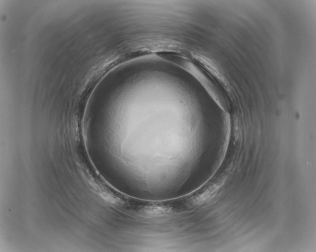 X0000068320453200604241343