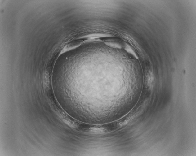 X0000068320457200604241343