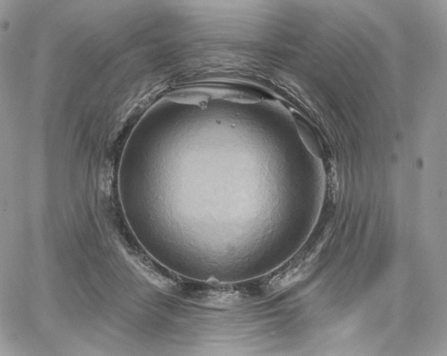 X0000068320458200604241343