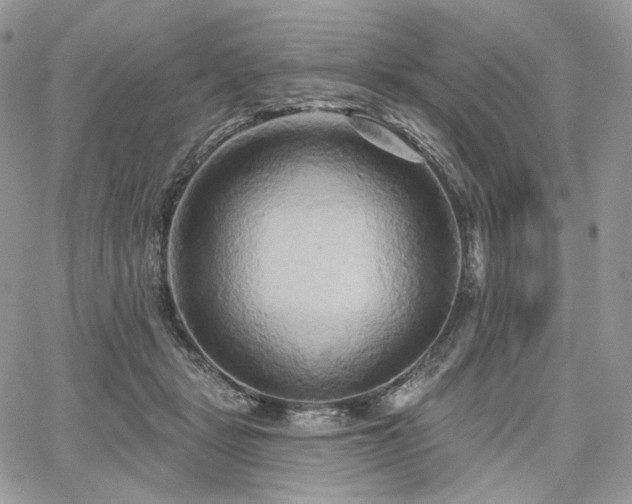 X0000068320461200604241343