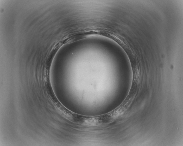 X0000068320470200604241343