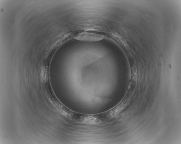 X0000068320471200604241343