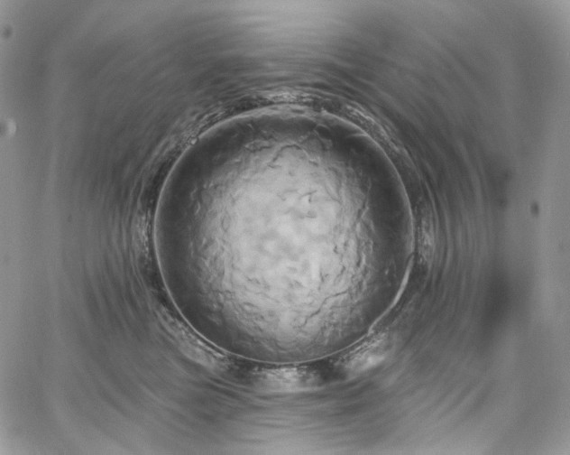 X0000068320473200604241343