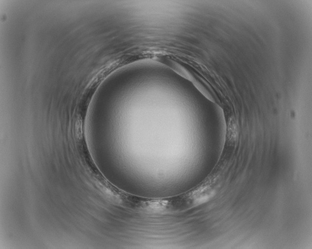 X0000068320474200604241343