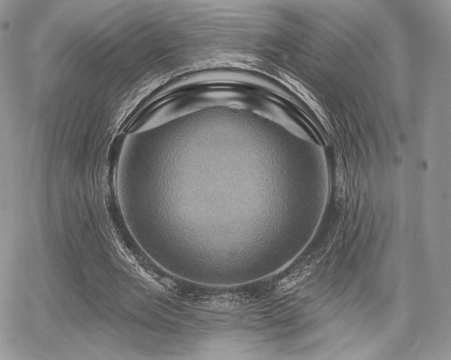 X0000068320485200604241342