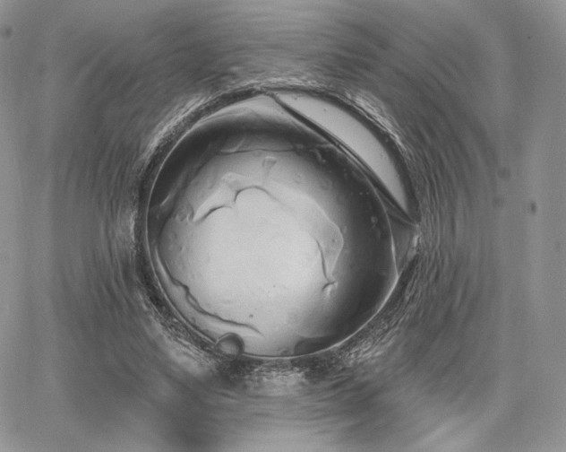 X0000068320491200604241342