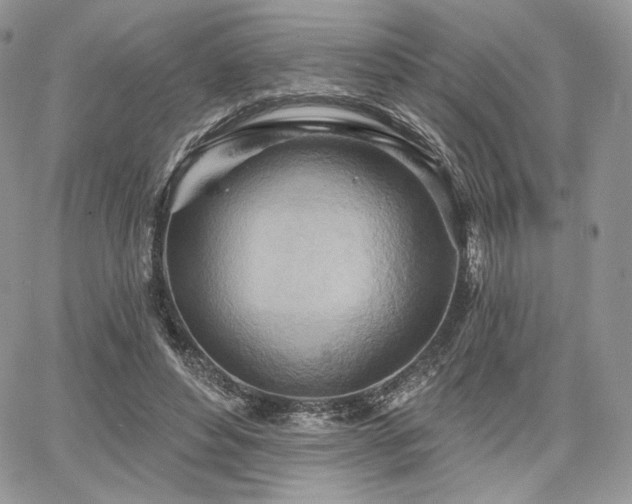 X0000068320496200604241342