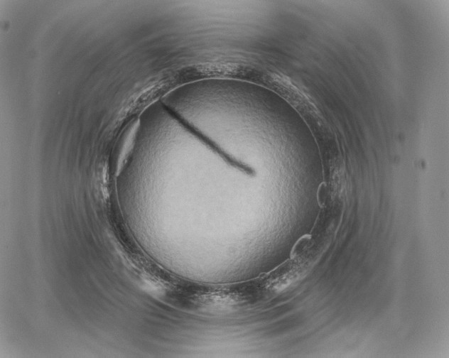 X0000068320498200604241342
