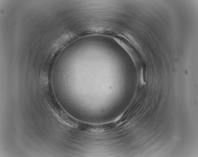 X0000068320500200604241342