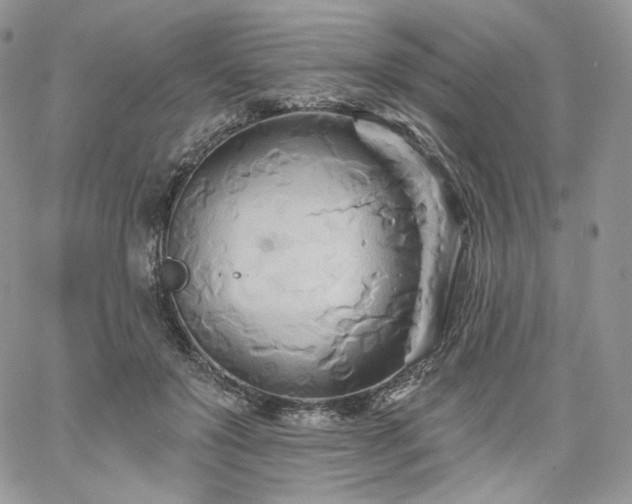 X0000068320503200604241342