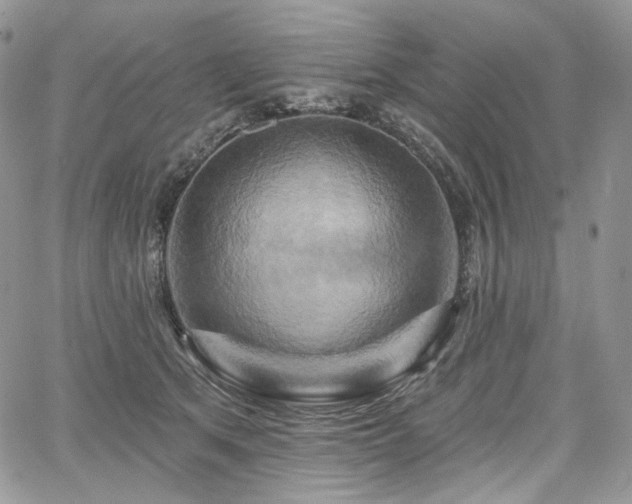 X0000068320513200604241342