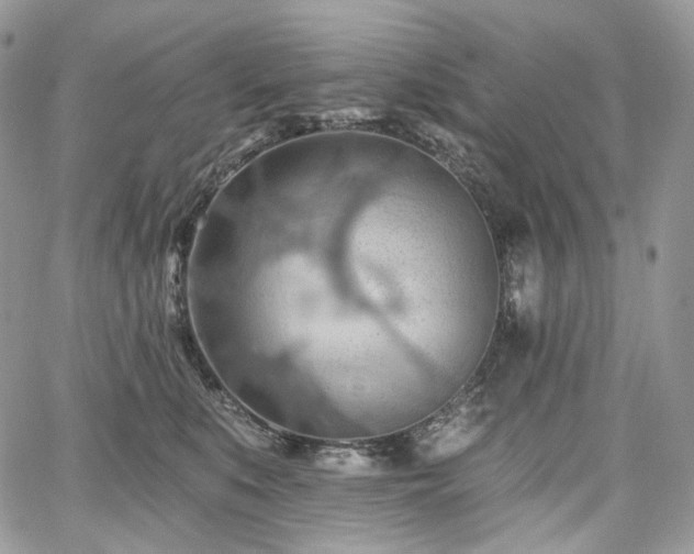 X0000068320519200604241342