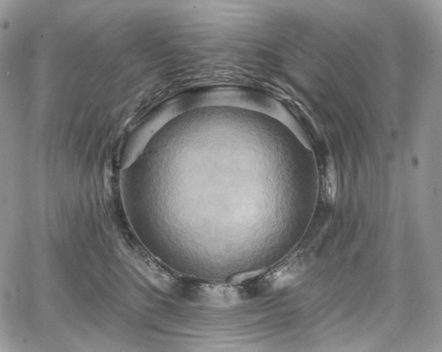 X0000068320520200604241342
