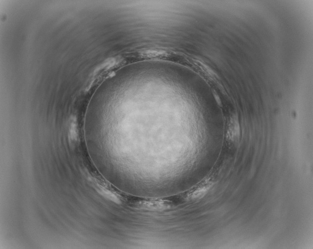X0000068320524200604241342