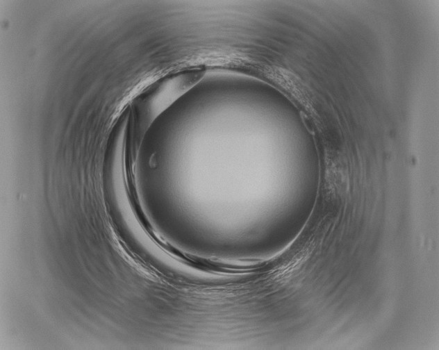 X0000068320530200604241341