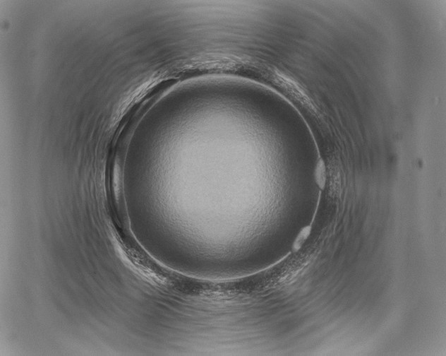 X0000068320538200604241341