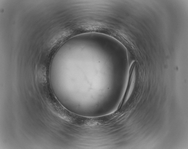 X0000068320547200604241341