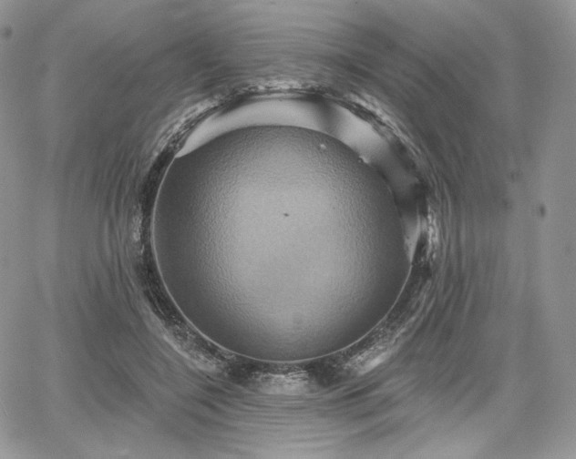 X0000068320548200604241341